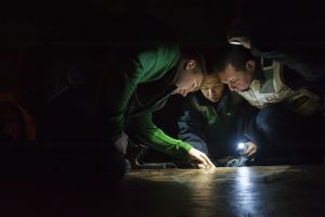 Home inspections will increase for this year.