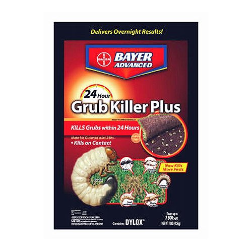 5 Natural Remedies for Root Maggots Control