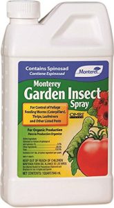 Monterey Garden Insect Spray 
