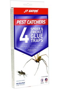 Glue traps - how to get rid of house crickets